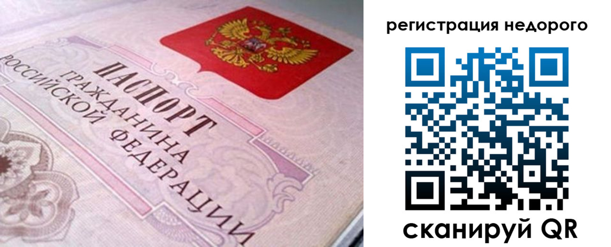 регистрация для дет. сада в Сертолово